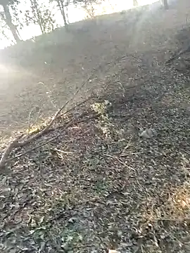 jellydicks online show from 21, 2, 2026