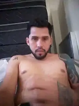 novinhobelem29 online show from 15, 11, 2025