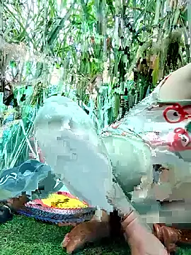 Betty20zx online show from 12, 11, 2025