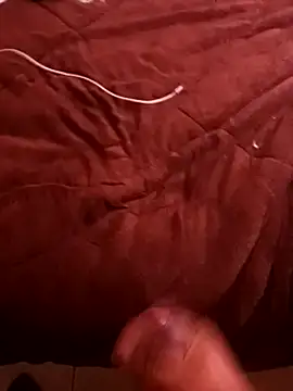 pedritolobito online show from 17, 12, 2024