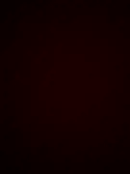 Sweety 008 online show from 13, 9, 2025