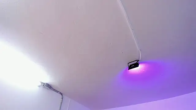 Amy Kiitty  online show from 15, 2, 2026