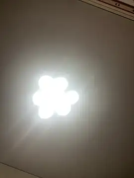 Janet Welder online show from 19, 12, 2024