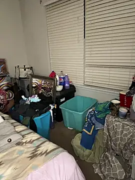 torilux online show from 4, 3, 2025