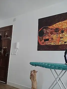 Satiro Sevilla online show from 12, 11, 2025