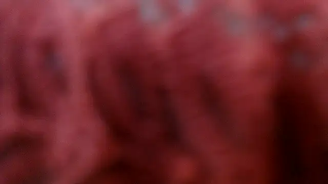 AretiAlisya online show from 15, 4, 2026