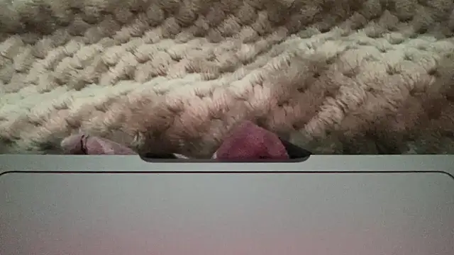 Snapshot of thick_n_hard chatting on 14, 12, 2024 thick n hard online show from 14, 12, 2024