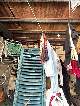 Leo bunny hot online show from 20, 9, 2025