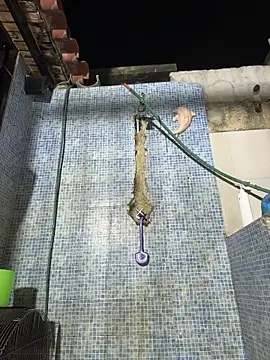 Leo bunny hot online show from 15, 12, 2025