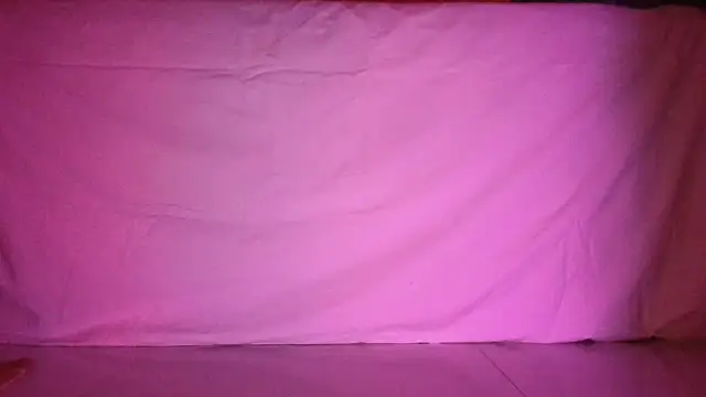 Snapshot of Reneta_Rebekka_Lopez chatting on 16, 4, 2026 Reneta Rebekka Lopez online show from 16, 4, 2026