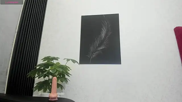 Cristopher23  online show from 12, 2, 2025