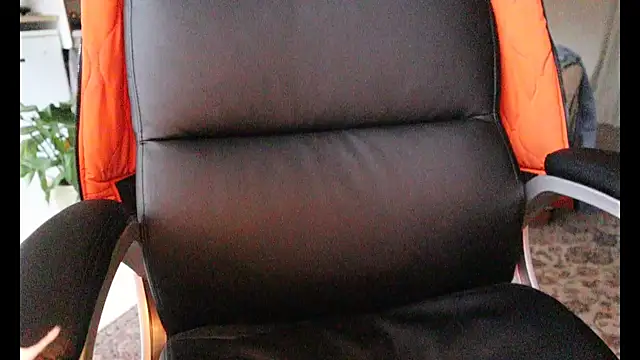 Danilow Dutch online show from 28, 11, 2025