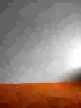 Snapshot of Dalou3a69 chatting on 8, 1, 2025 Dalou3a69 online show from 8, 1, 2025