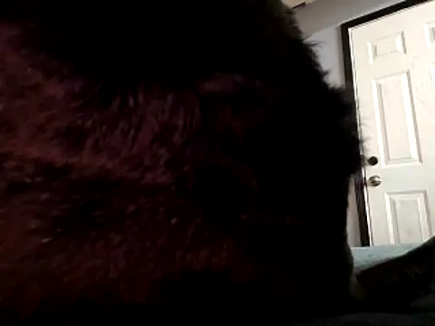 DevinToore online show from 29, 10, 2025