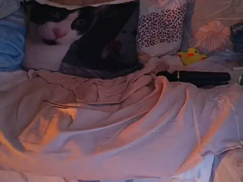 VeneRed online show from 30, 11, 2025