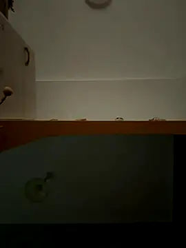 Snapshot of Lecatore80 chatting on 9, 11, 2025 Lecatore80 online show from 9, 11, 2025