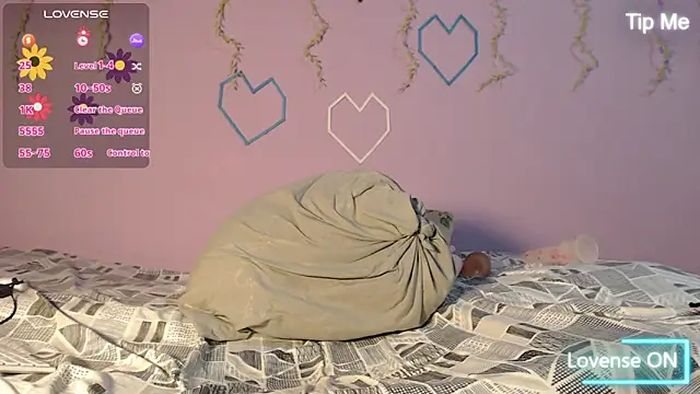 Dante Bear  online show from 13, 2, 2026