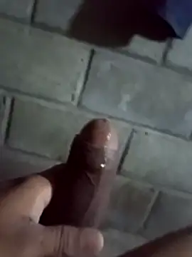 Snapshot of ga213333 chatting on 18, 1, 2026 ga213333 online show from 18, 1, 2026