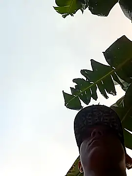 tayson  online show from 13, 1, 2025