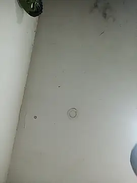 jeremiabello online show from 22, 3, 2025