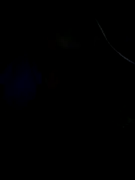 Leocesar37 online show from 10, 4, 2026