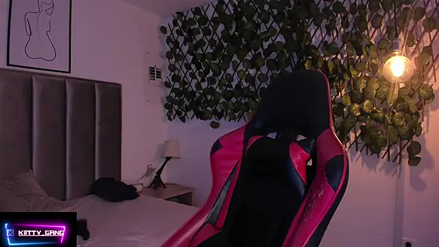 Kitty Gang online show from 9, 9, 2025