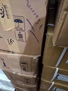 nupa230780 online show from 21, 12, 2025