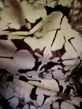 gunjan22 online show from 10, 4, 2026