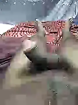 mallucallboy2104 online show from 27, 2, 2025