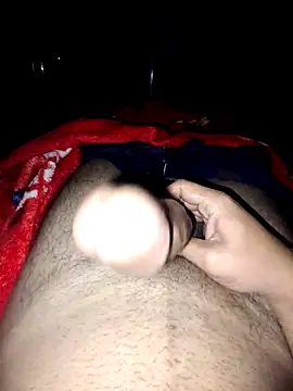 Snapshot of nidansohib1230 chatting on 4, 11, 2025 nidansohib1230 online show from 4, 11, 2025