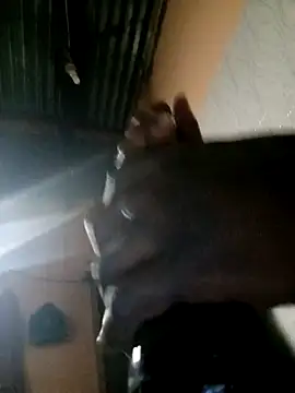 TastyAfrica online show from 10, 2, 2026