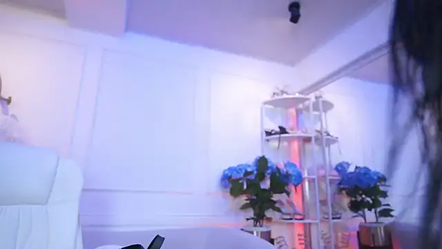 elasummer online show from 13, 2, 2026