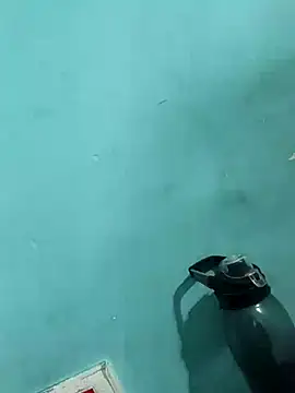 Rani devi88 online show from 24, 2, 2025