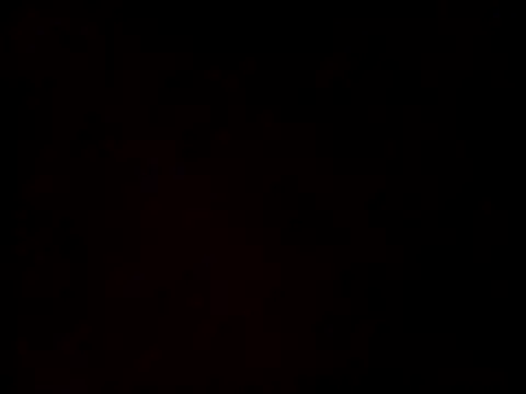 linksjack1010 online show from 23, 2, 2025