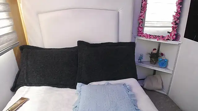 Snapshot of palmer_mIix chatting on 26, 12, 2024 palmer mIix online show from 26, 12, 2024