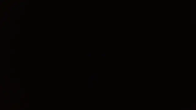 Snapshot of _______the chatting on 14, 12, 2025 the online show from 14, 12, 2025