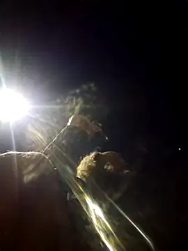 Beyond1978 online show from 9, 1, 2026