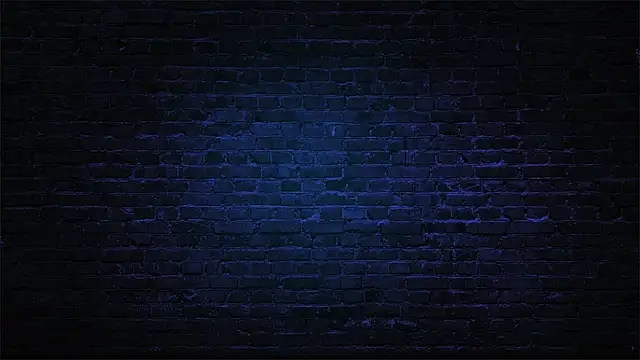 misscassidy  online show from 11, 12, 2024