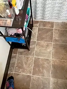 StellerCock online show from 5, 2, 2026