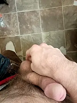 StellerCock online show from 2, 3, 2026