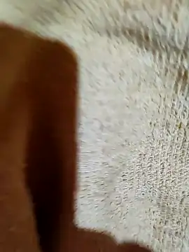 moreninha hoott online show from 14, 12, 2024