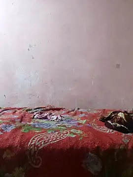 moreninha hoott online show from 31, 1, 2025