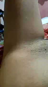 moreninha hoott online show from 3, 2, 2025