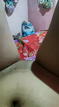 moreninha hoott online show from 10, 2, 2025