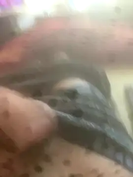 solomec online show from 12, 10, 2025