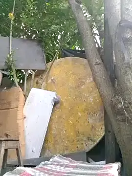 Natasha olg online show from 13, 1, 2025