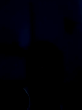 KrishnaDevaraya online show from 28, 1, 2025