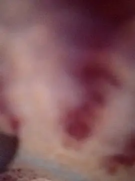 sana14 online show from 16, 2, 2026