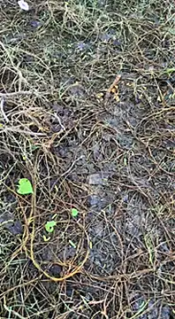 Snapshot of tamil000000 chatting on 16, 3, 2025 tamil000000 online show from 16, 3, 2025