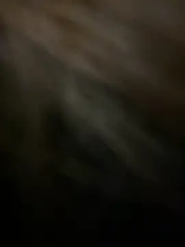 KitteCat online show from 4, 1, 2025